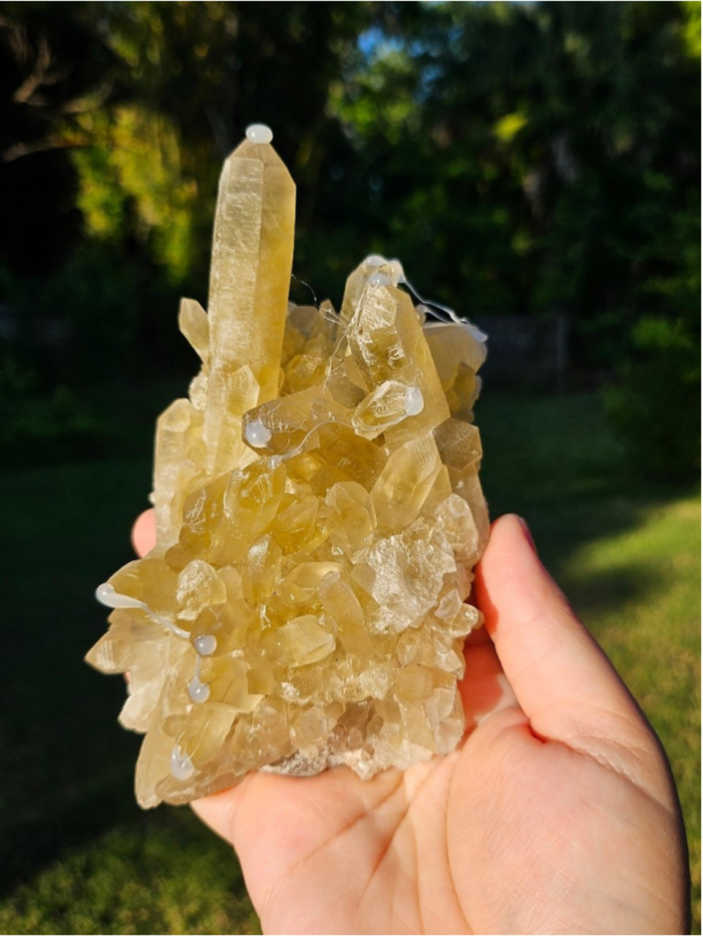 citrine cluster 6 in